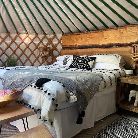O Dan Y Coed Luxury Yurt With Hot Tub Hotel Chwilog Luaran gambar